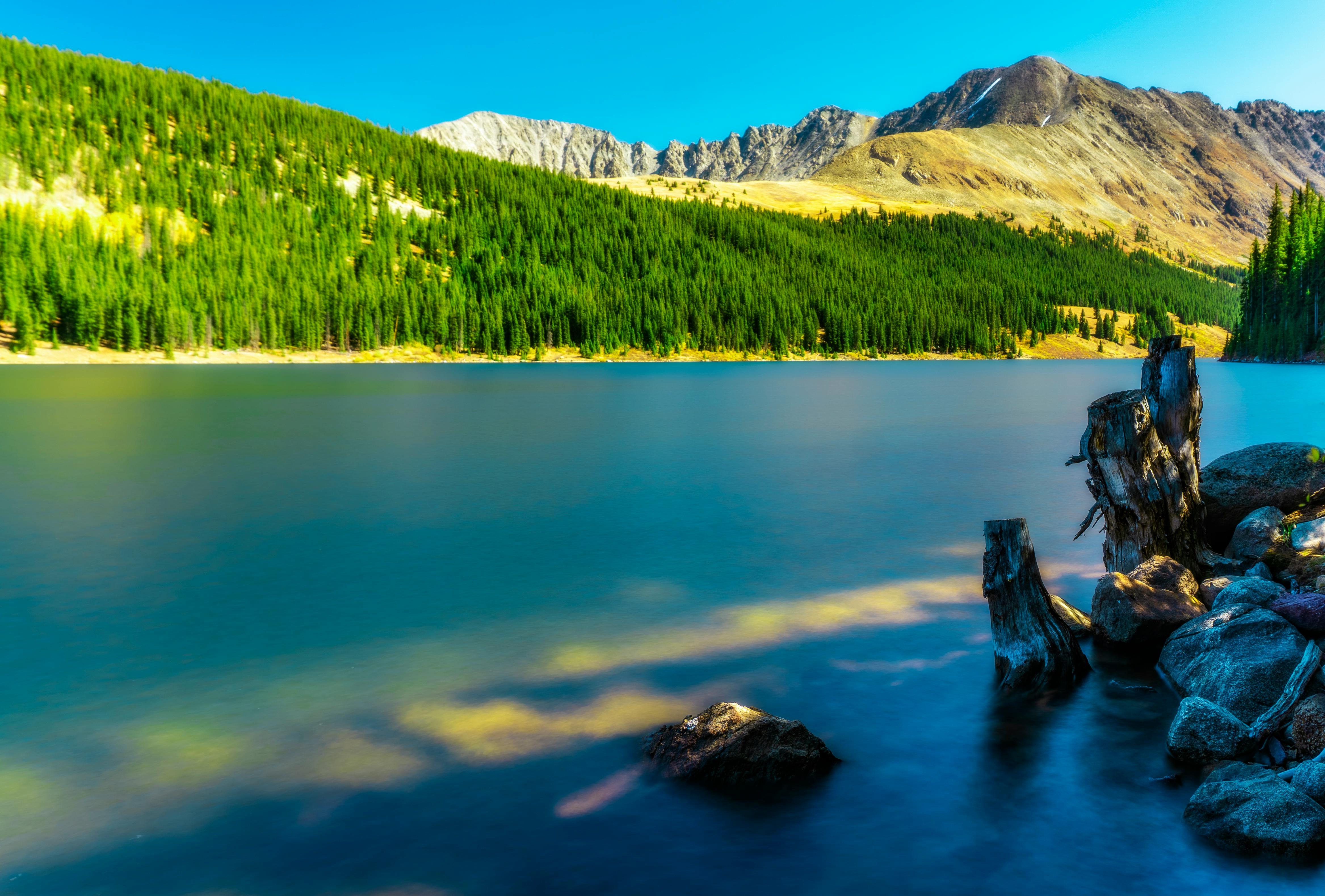 Franchise Opportunities in Denver, Colorado | FranFlix - Growing Market 2025