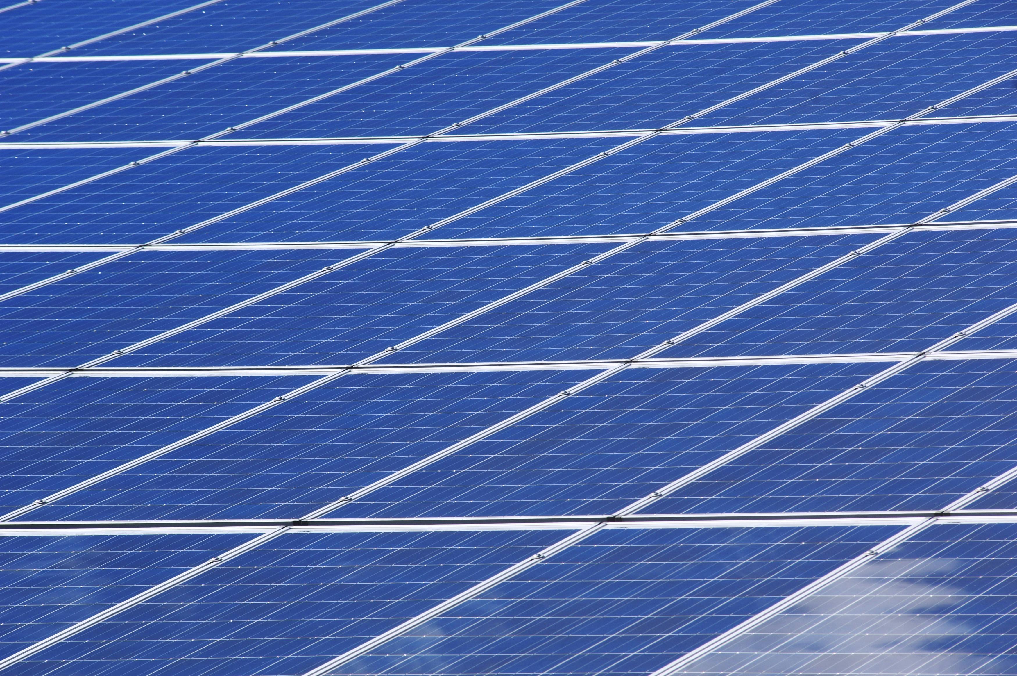 Sustainability Takes Center Stage in Franchising: Trends and Initiatives to Watch