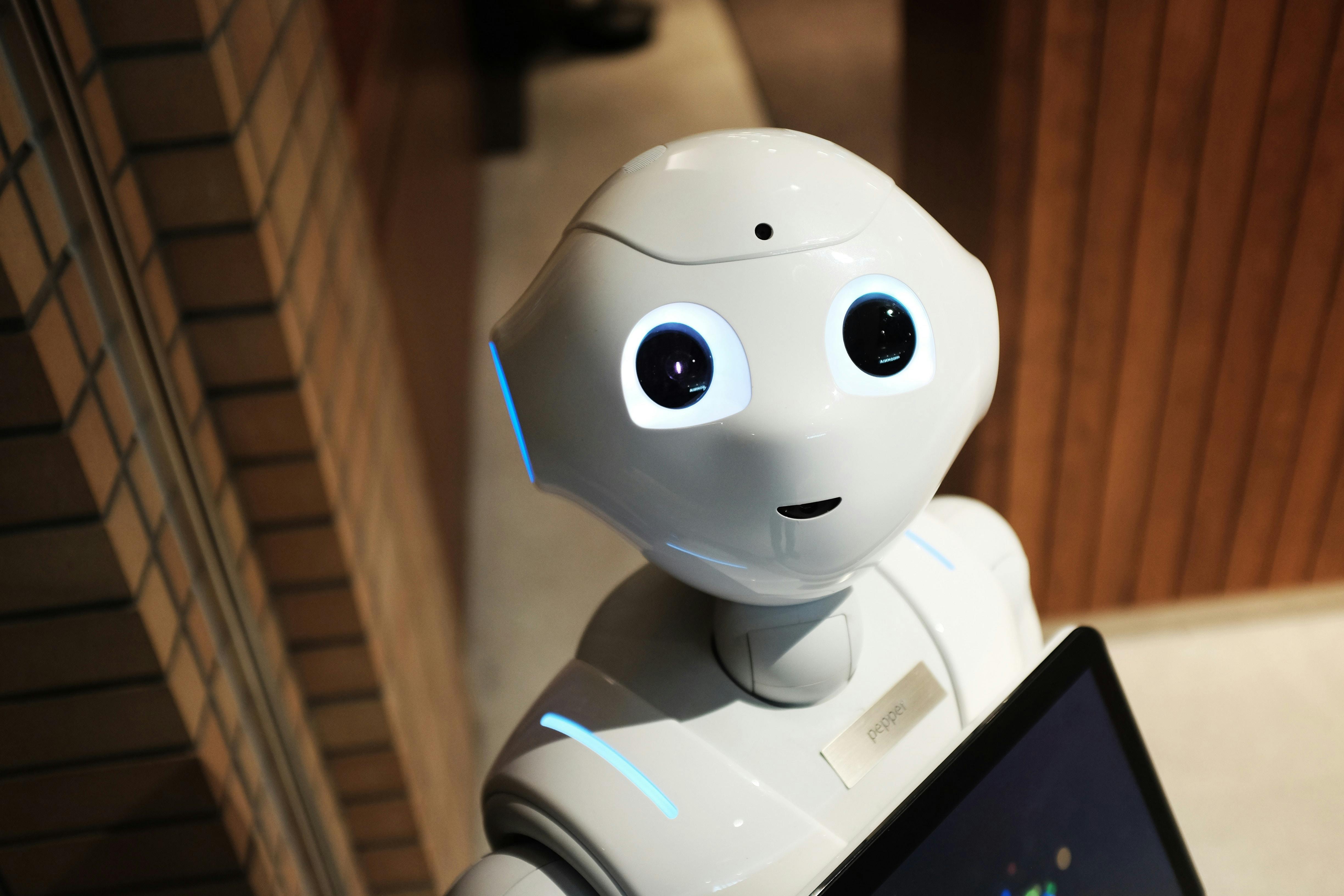 Franchise Technology Trends: How AI and Automation Are Reshaping the Franchise Landscape